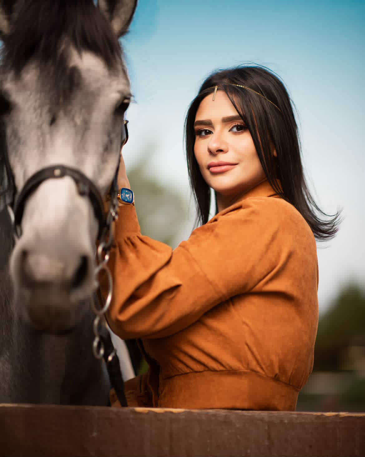 Portfolio 31